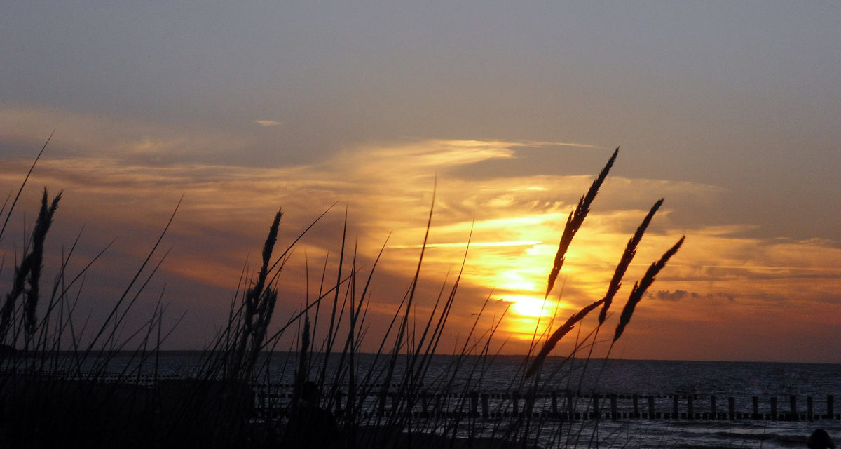 Erholungsurlaub auf Fischland-Darß-Zingst